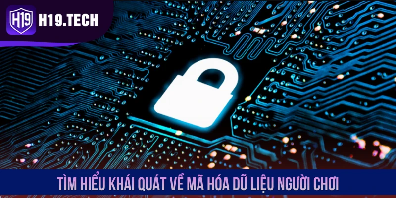 Tìm hiểu khái quát về mã hóa dữ liệu người chơi